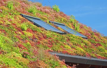 Kingholm Quay living roof systems